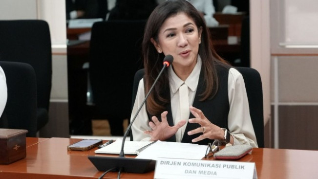 Direktur Jenderal Komunikasi Publik dan Media Kemkomdigi Fifi Aleyda Yahya. (komdigi)